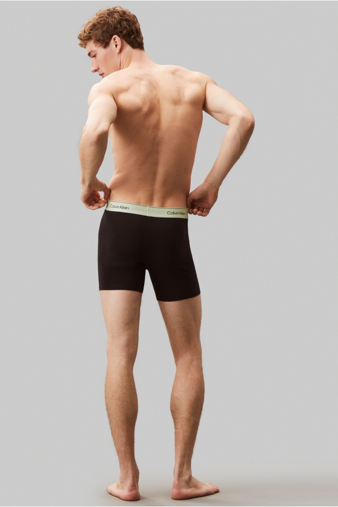 BOXER BRIEF 3PK LV00NB4394 BWHITE, BEAU BLUE, LEAFY FUN WBS